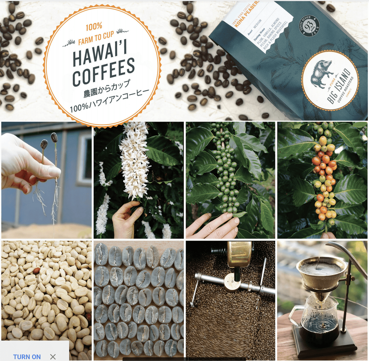 Hawaiian Harmony Coffee 7oz - Hawaiian Farmers Market{