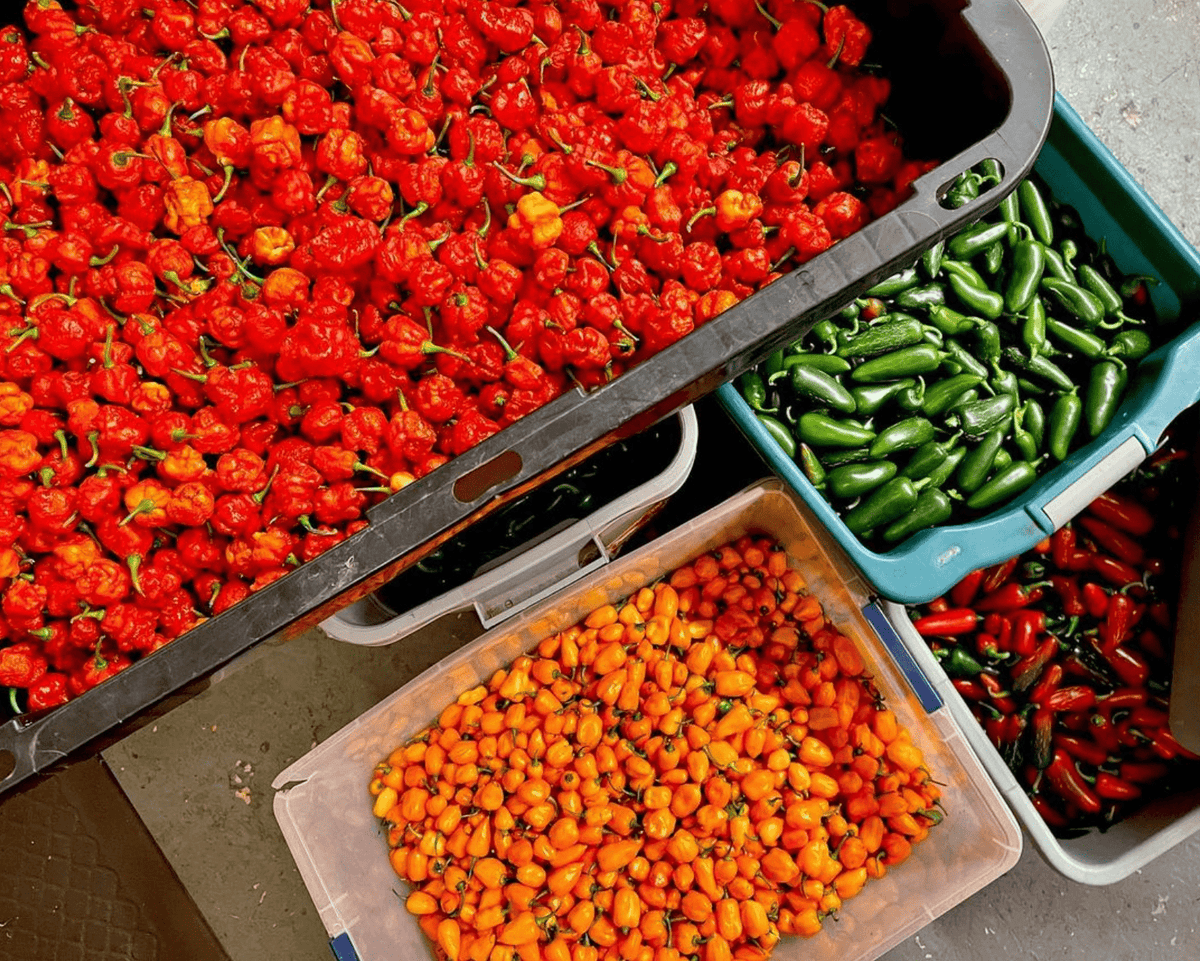 Ho Brah  Hot Sauce- Extreme! - Hawaiian Farmers Market