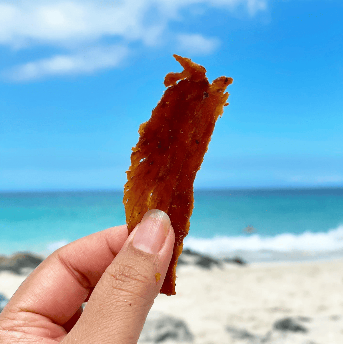 Original Ahi Tuna Jerky 2oz - Hawaiian Farmers Market{