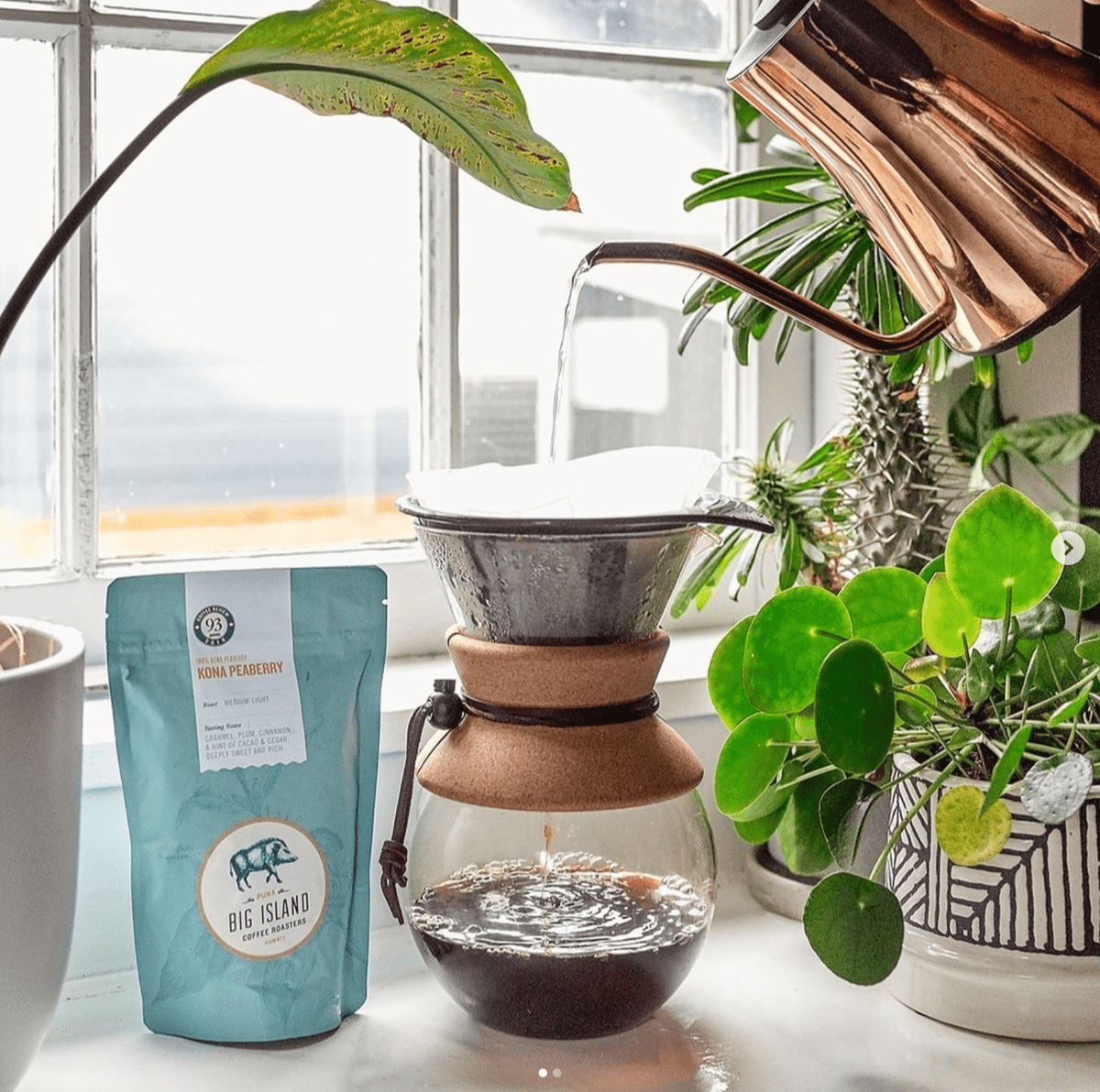 Kona Peaberry Coffee 7oz 100% Kona Coffee - Hawaiian Farmers Market{