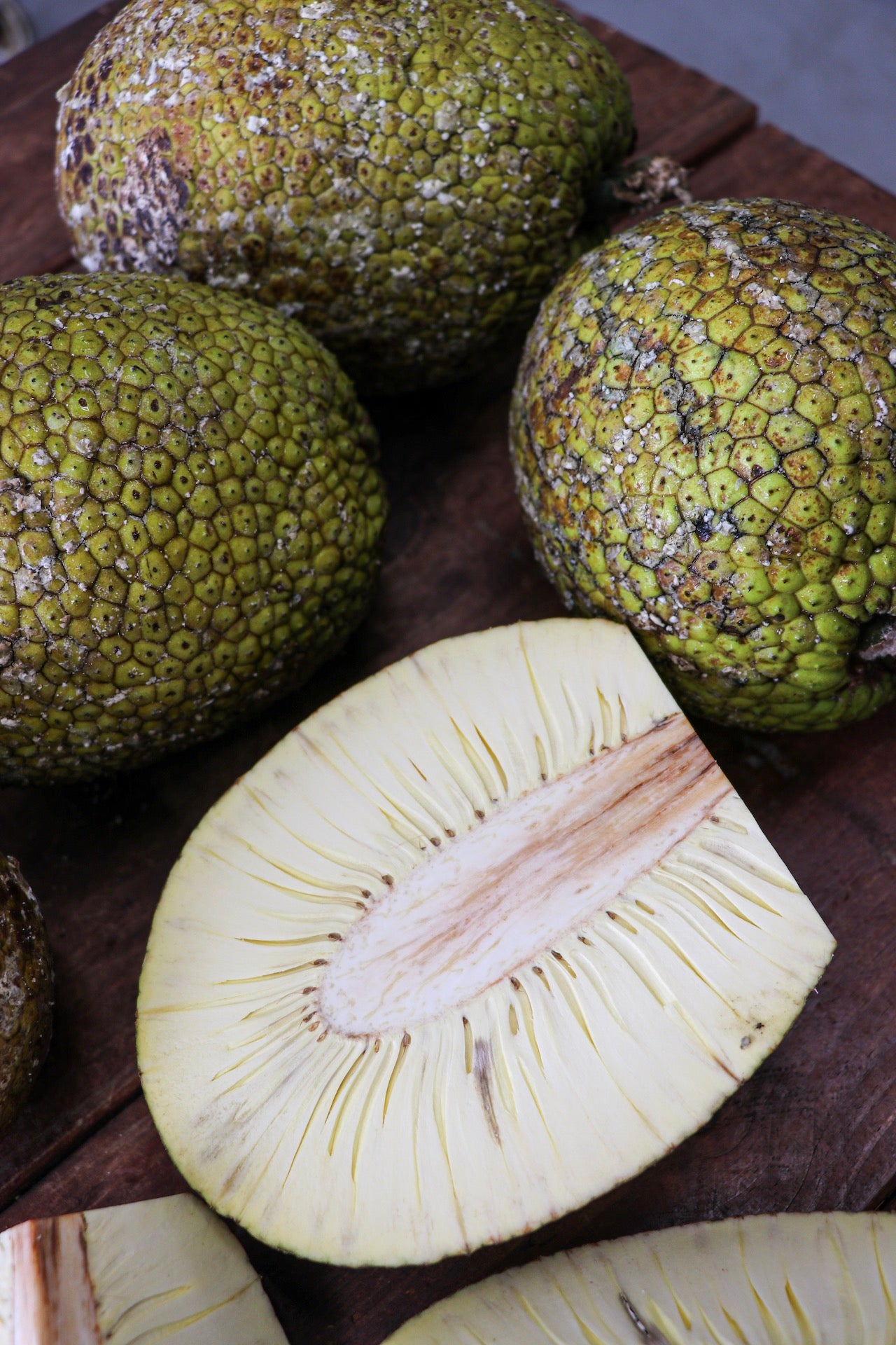Learn About Breadfruit and it's Journey to Hawaii | 'Ulu - Ulu Mana