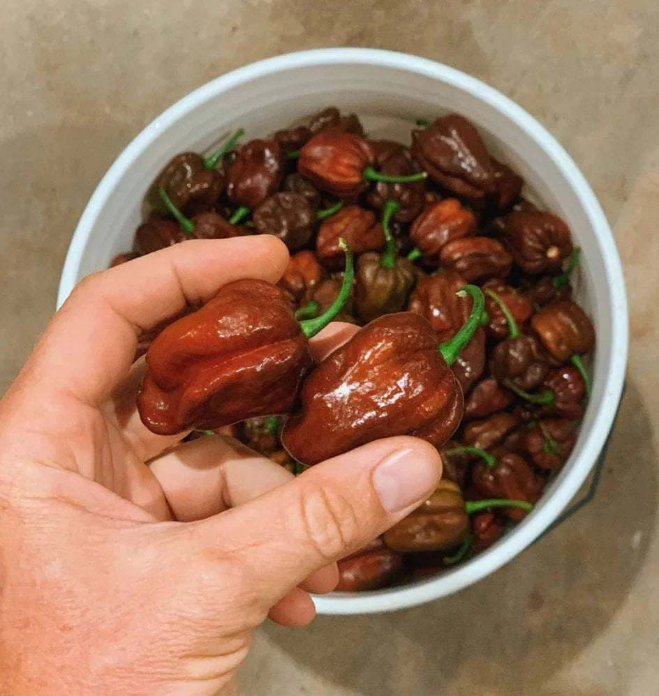 &quot;The Hipster&quot; Hawaiian Chili Pepper Hot Sauce - Hawaiian Farmers Market{